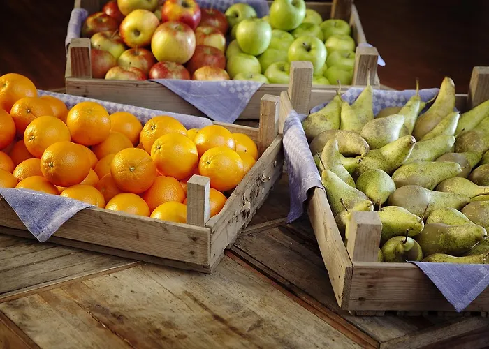 Bilderberg 't Speulderbos 4* Garderen